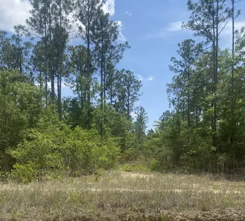 tbd Joe Dugger Rd, Freeport, FL 32439