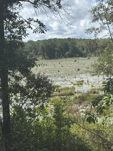 lot43 Seacoast Way, Defuniak Springs, FL 32433