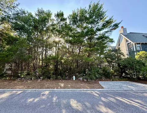 Nn Coppersmith Lane, Inlet Beach, FL 32461