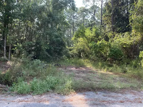 85 Central 7th St, Santa Rosa Beach, FL 32459