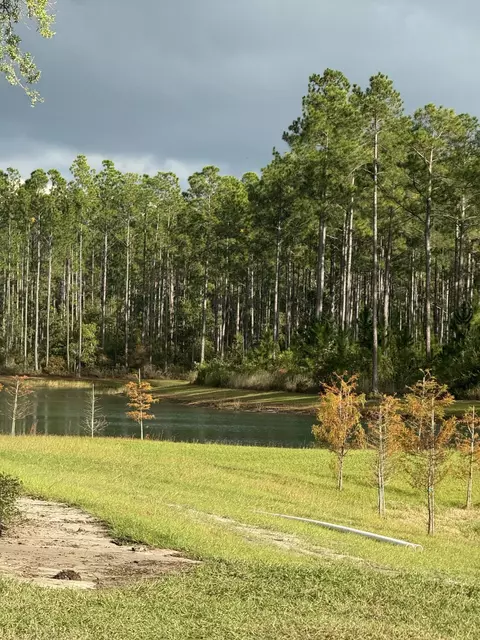 lot4 A Reserve At Hammock Bay, Freeport, FL 32439 photo 7