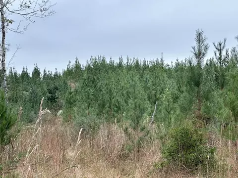 B, Laurel Hill, FL 32567 photo 10