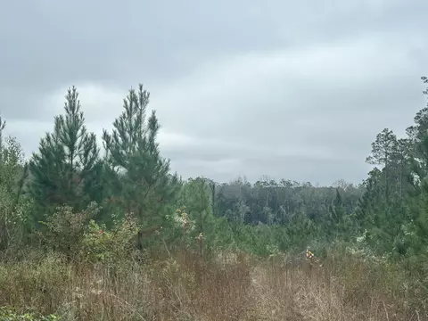 B, Laurel Hill, FL 32567 photo 6