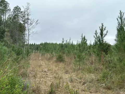 B, Laurel Hill, FL 32567 photo 9