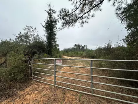 B, Laurel Hill, FL 32567 photo 15