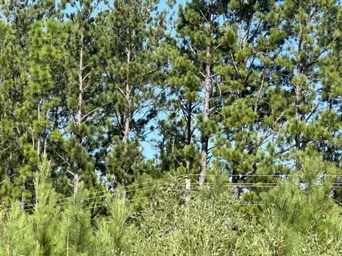 B, Laurel Hill, FL 32567 photo 13