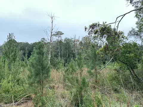 B, Laurel Hill, FL 32567 photo 8