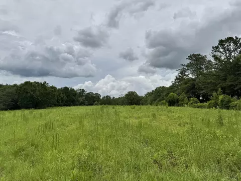 15 Acres M K Ln, Florala, AL 36442