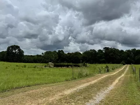 5901 M K Ln, Florala, AL 36442