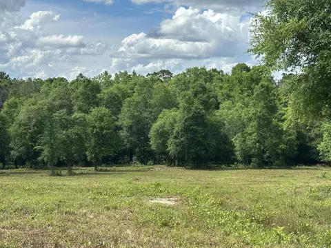 Parcel A County Road 20/new Ebenzer Road, Florala, AL 36442