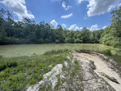 134 Wood Wren St, Crestview, FL 32539