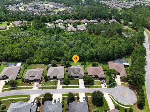 View/Area - 201 Canopy Cv, Freeport, FL 32439 photo 2 of 14