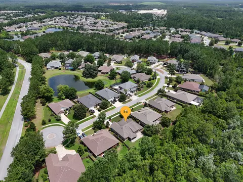 View/Area - 201 Canopy Cv, Freeport, FL 32439 photo 4 of 14