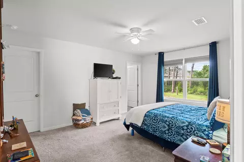 629 Earl Godwin Rd, Freeport, FL 32439 photo 24