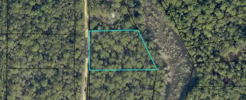 99 Ac Dove Run Rd, Holt, FL 32564