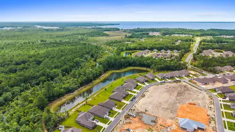 View/Area - 132 E Tweet St, Freeport, FL 32439 photo 8 of 24