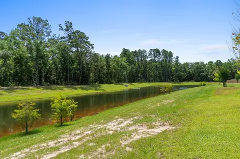 View/Area - 132 E Tweet St, Freeport, FL 32439 photo 11 of 24
