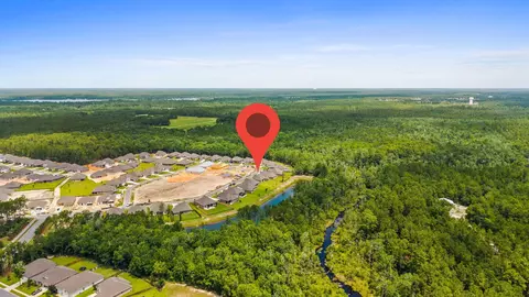 View/Area - 132 E Tweet St, Freeport, FL 32439 photo 6 of 24