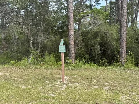 1530 Sharks Tooth Trl, Panama City Beach, FL 32413