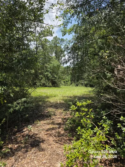 6178 Barnes Rd, Crestview, FL 32536 photo 14