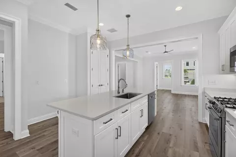 175 Suwannee Dr, Inlet Beach, FL 32461 photo 6