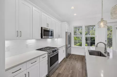 175 Suwannee Dr, Inlet Beach, FL 32461 photo 9