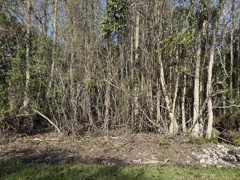 lot8 Marsh Ave, Freeport, FL 32439 photo 15
