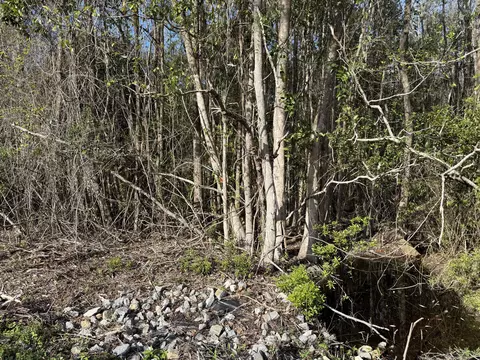 lot8 Marsh Ave, Freeport, FL 32439 photo 10