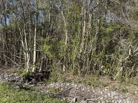lot8 Marsh Ave, Freeport, FL 32439 photo 11