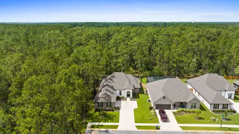 View/Area - 518 E Tweet St, Freeport, FL 32439 photo 1 of 21