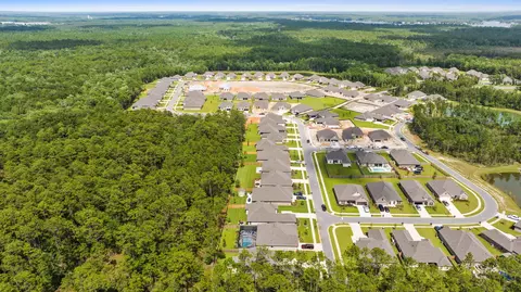 View/Area - 518 E Tweet St, Freeport, FL 32439 photo 3 of 21