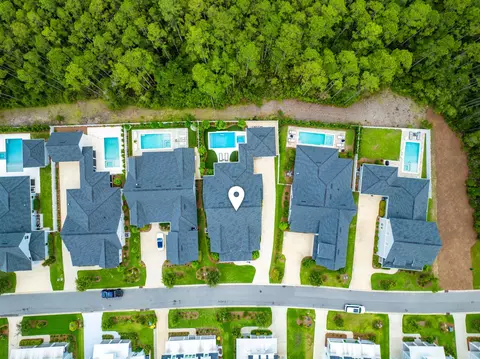 View/Area - 105 Rosecourt St, Watersound, FL 32461 photo 4 of 19