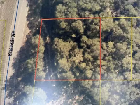 0 Williams Rd, Defuniak Springs, FL 32433