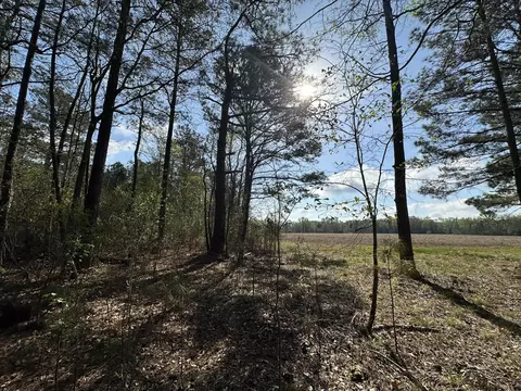 1 1- Ac Snider Ave, Other, AL