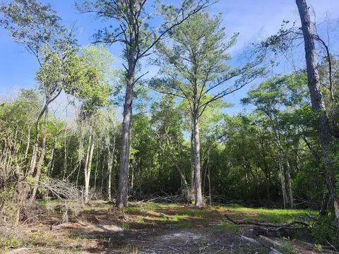 tbd Plantation Ln, Defuniak Springs, FL 32433