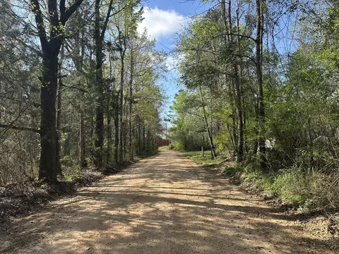 83 Ac Lett Rd, Other, AL photo 4