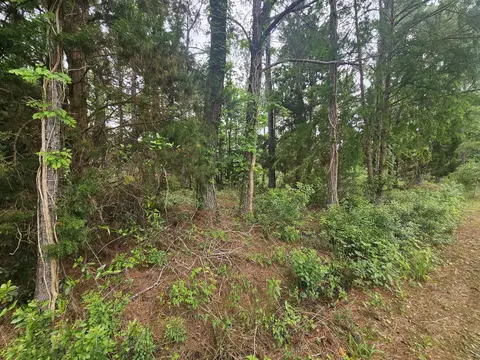 lot Apt 2 Dolphin Cv, Freeport, FL 32439 photo 5