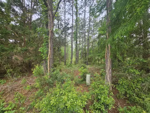 lot Apt 2 Dolphin Cv, Freeport, FL 32439 photo 3
