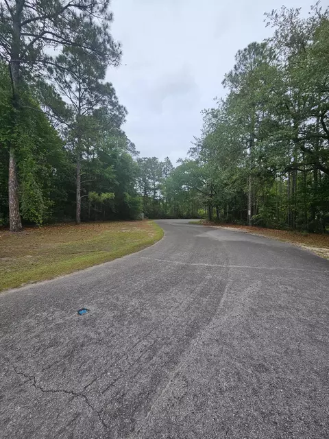 lot Apt 2 Dolphin Cv, Freeport, FL 32439 photo 2