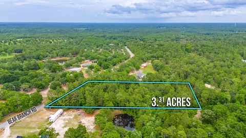 3 31 Acres Bear Branch Rd, Crestview, FL 32539 photo 2