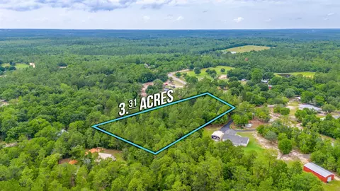 3 31 Acres Bear Branch Rd, Crestview, FL 32539 photo 7