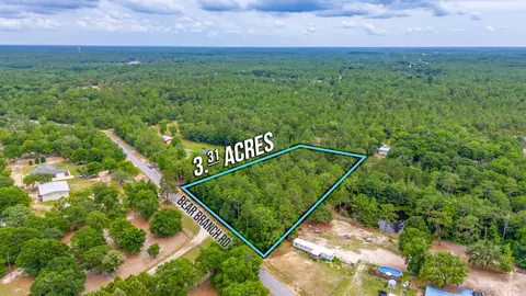 3 31 Acres Bear Branch Rd, Crestview, FL 32539 photo 4