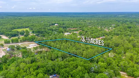 3 31 Acres Bear Branch Rd, Crestview, FL 32539 photo 3