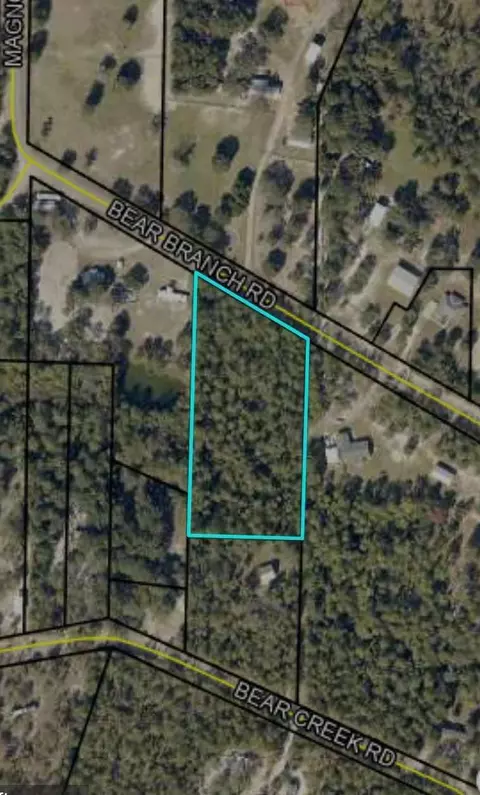 3 31 Acres Bear Branch Rd, Crestview, FL 32539 photo 8