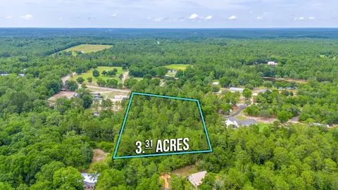 3 31 Acres Bear Branch Rd, Crestview, FL 32539 photo 6