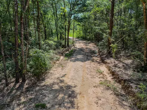 View/Area - 3128 County Road 10, Samson, AL 36477 photo 3 of 20