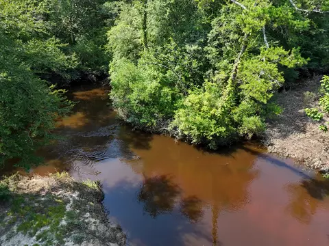 View/Area - 3128 County Road 10, Samson, AL 36477 photo 1 of 20