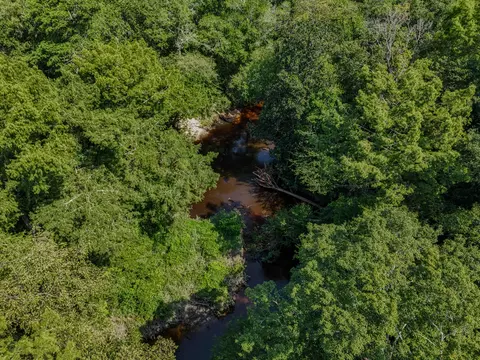 Other - 3128 County Road 10, Samson, AL 36477 photo 21 of 23