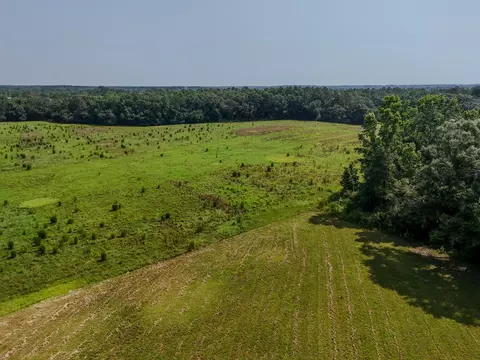 Other - 3128 County Road 10, Samson, AL 36477 photo 23 of 23