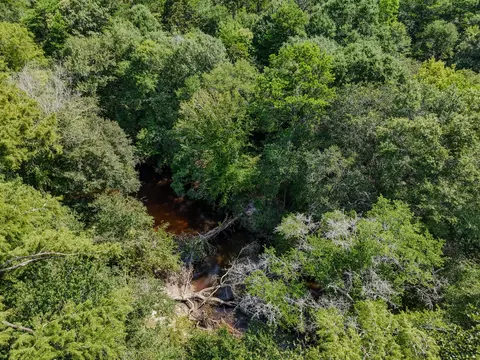 View/Area - 3128 County Road 10, Samson, AL 36477 photo 12 of 20